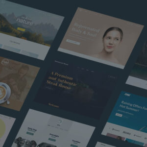 WP Pro Themes